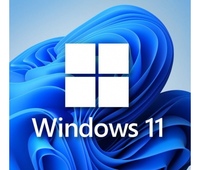 MS Windows 11 Pro HUN 64-bit USB BOX  HAV-00154