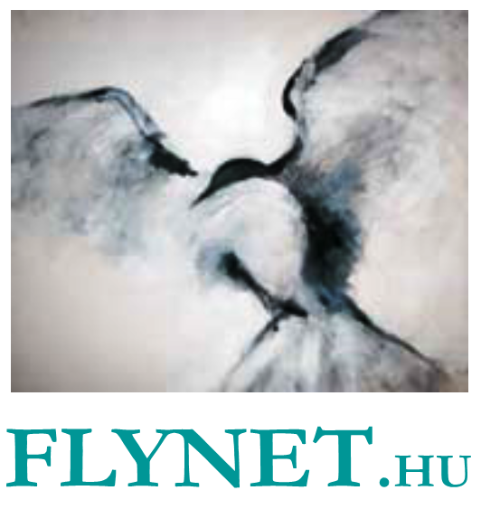 flynet.hu