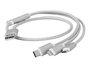 Kab USB A-microB+Type C+Lightning 3in1 1mSilverCC-USB2-AM31-1M-S
