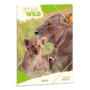 Ars Una Icons of the Wild-Lions 25 (5504) A4 gumis mappa