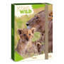 Ars Una Icons of the Wild-Lions 25 (5504) A4 füzetbox