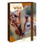 Ars Una Icons of the Wild-Giraffes 25 (5505) A4 füzetbox