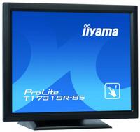 Mon iiyama Prolite 17