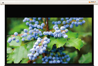 Vetítő vászon 170x304 Fali Motoros FunScreen funP.SB.169.304.MW