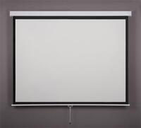 Vetítő vászon 226x350 Fali motoros funscreen fun50.169.350.x