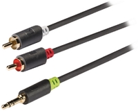 Kab 3.5mm Jack - 2x RCA cable 10m CABW22200AT100