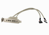 Kab Kivezet hátlap 2xUSB StarTech.com USBPLATE