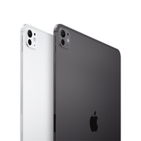 Apple iPad Pro (M4) 11