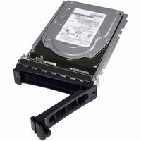 Dell Srv HDD 1TB 3,5
