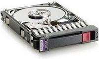 HPQ HDD 300GB 10K SAS DP 6G 2,5