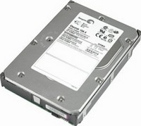 Dell Srv HDD 1Tb 3,5