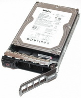Dell Srv HDD  2Tb 3,5