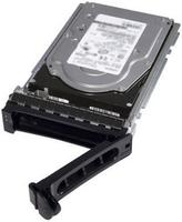 Dell Srv HDD 2Tb 3,5