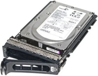 Dell Srv HDD 300Gb 2.5