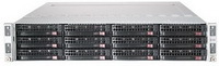Storage AlphaDSS iSCSI 2U 12x3,5