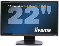 IIYAMA PL2201 22" monitor