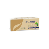 Papírzsebkendő 4 rétegű 9 lap/cs 10 cs/csomag EcoNatural 90 F Lucart_843166J havanna barna