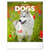 Realsystem 2026 Dogs 6087-DO falinaptár Realsystem 2026 Dogs 6087-DO falinaptár