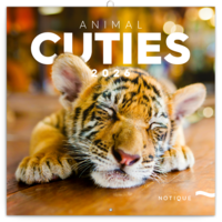 Realsystem 2026 Animal Cuties 6097-AC falinaptár Realsystem 2026 Animal Cuties 6097-AC falinaptár