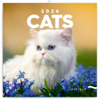 Realsystem 2026 Cat 6097-CA falinaptár Realsystem 2026 Cat 6097-CA falinaptár