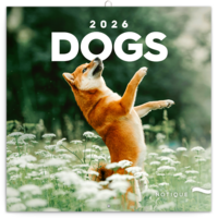 Realsystem 2026 Dogs 6097-DO falinaptár Realsystem 2026 Dogs 6097-DO falinaptár