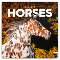 Realsystem 2026 Horses 6097-HO falinaptár Realsystem 2026 Horses 6097-HO falinaptár