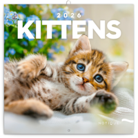 Realsystem 2026 Kittens 6097-KI falinaptár Realsystem 2026 Kittens 6097-KI falinaptár