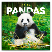 Realsystem 2026 Pandas 6097-PS lemeznaptár Realsystem 2026 Pandas 6097-PS lemeznaptár