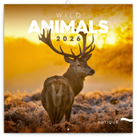 Realsystem 2026 Wild Africa 6097-WA falinaptár Realsystem 2026 Wild Africa 6097-WA falinaptár