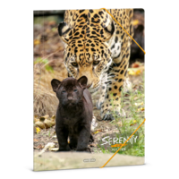 Ars Una Serenity-Jaguar 24 (5334) A4 gumis mappa
