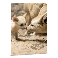 Ars Una Serenity-Desert Fox 24 (5342) A4 gumis mappa