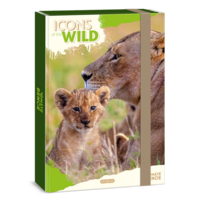 Ars Una Icons of the Wild-Lions 25 (5504) A4 füzetbox