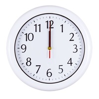 TOO CL-6288 Outdoor falióra 30,5cm TOO CL-6288 Outdoor falióra 30,5cm